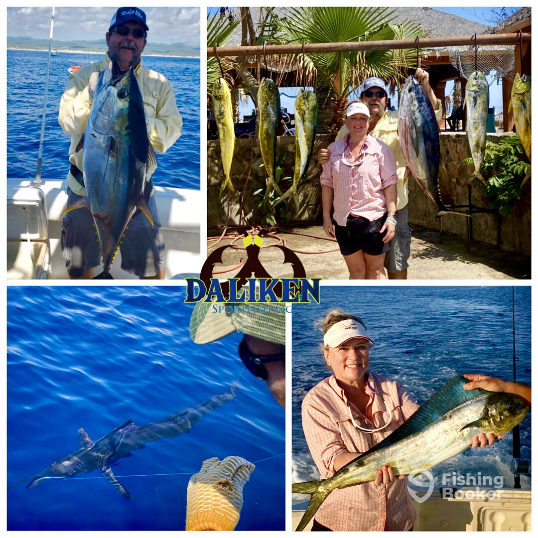 San Jose del Cabo Report Photo 0