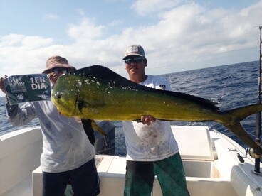 let's have fun with the fish!! you could