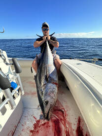 Giant Bluefin Tuna on our Full Day!