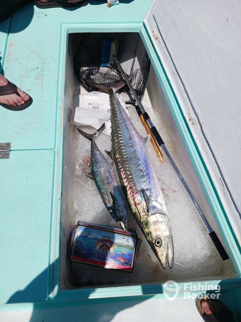 Destin Report Photo 0