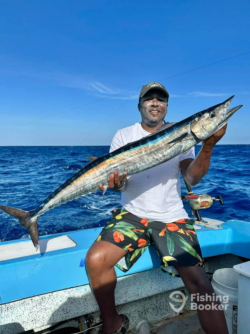 Nice wahoo