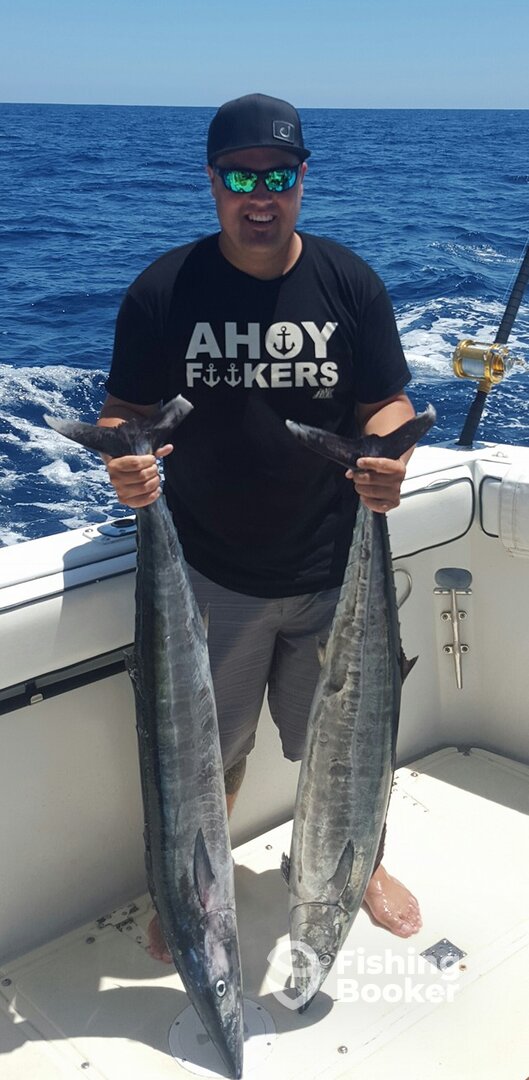 Cabo San Lucas Report Photo 0