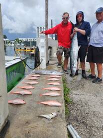 Dania Beach Report Photo 2