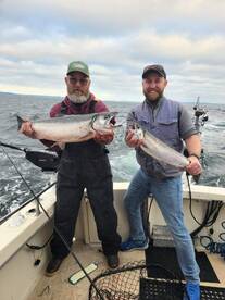 Coho salmon