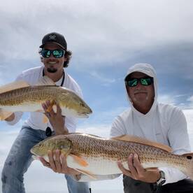 Big Redfish in schools