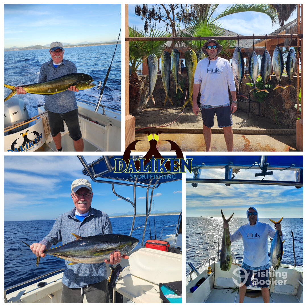 San Jose del Cabo Report Photo 0