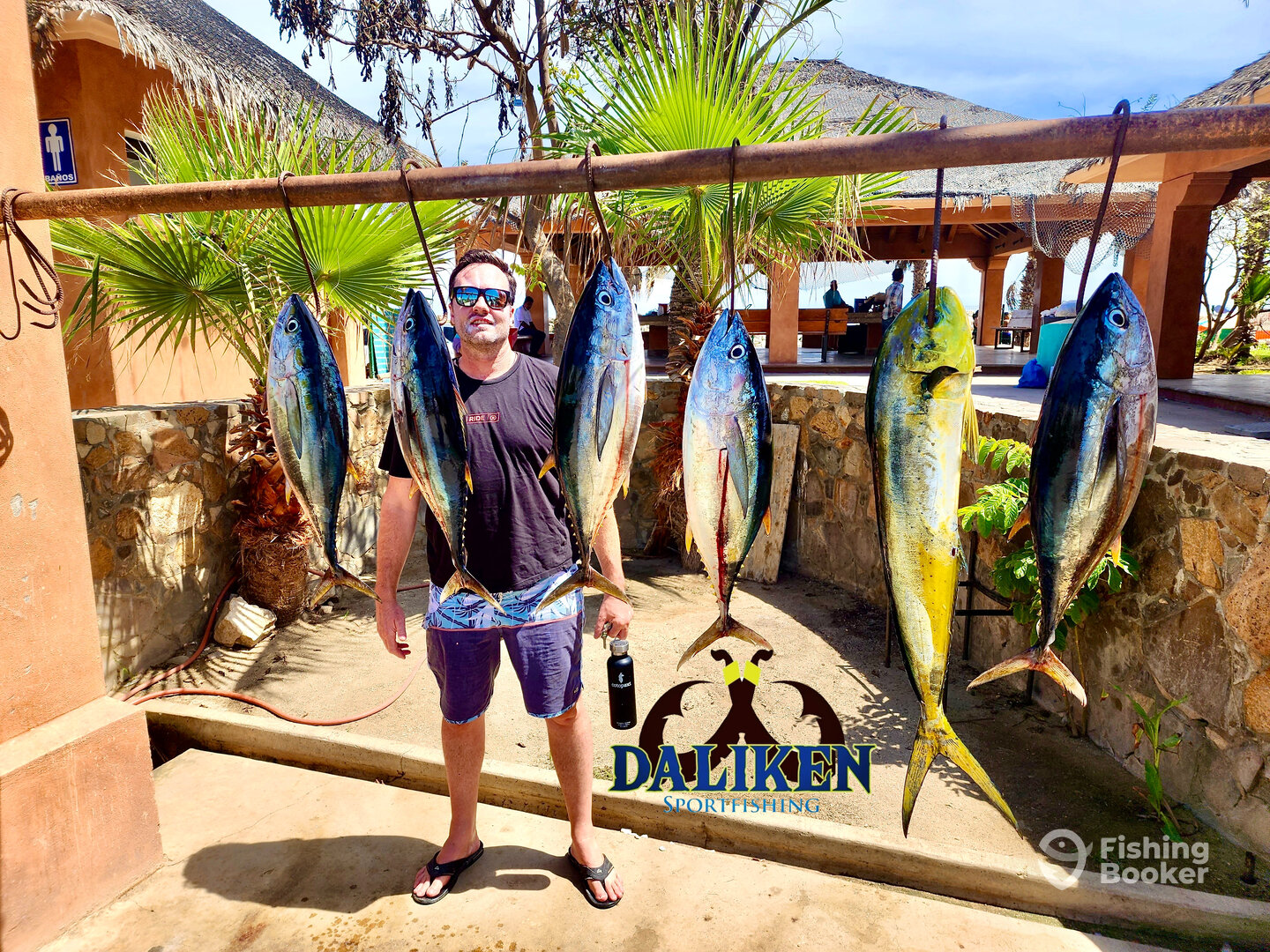 San Jose del Cabo Report Photo 0