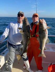 Montauk Report Photo 1