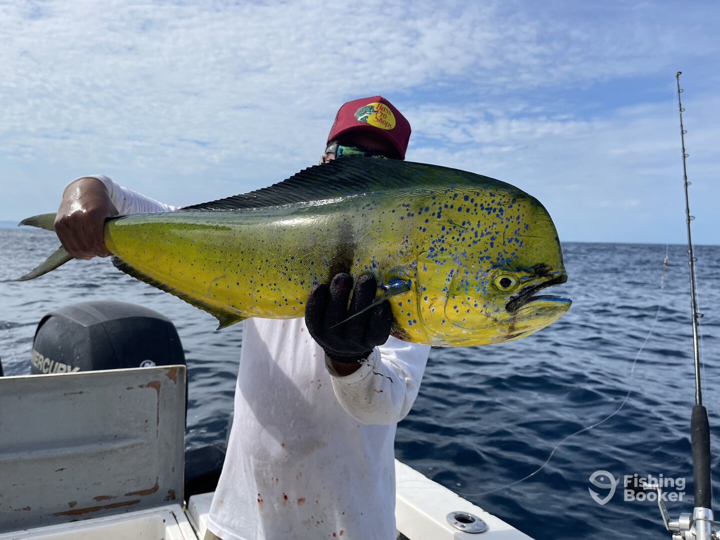 Punta Mita Report Photo 0