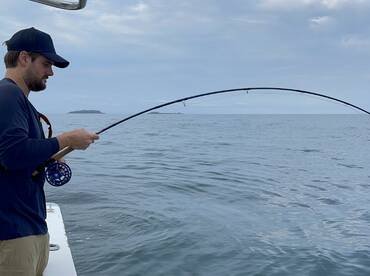 Punta Mita Report Photo 1