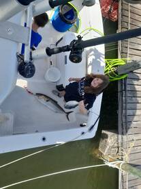 Niceville Report Photo 1