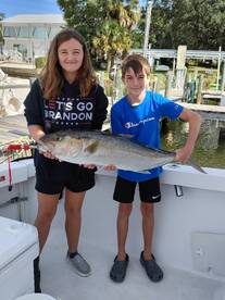 Niceville Report Photo 2