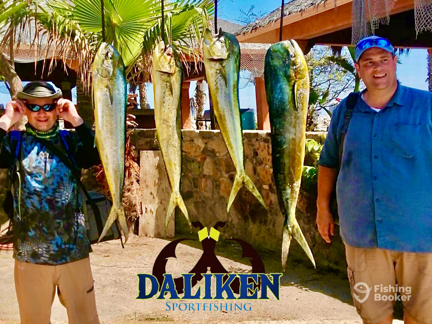San Jose del Cabo Report Photo 0