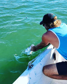 Port Canaveral Report Photo 1