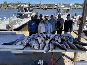 Redfish Smackdown`
