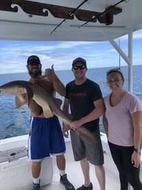 Nurse shark!