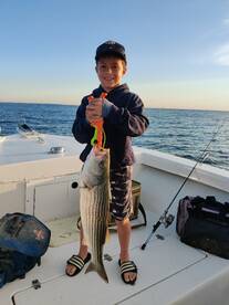 Dameron Report Photo 2