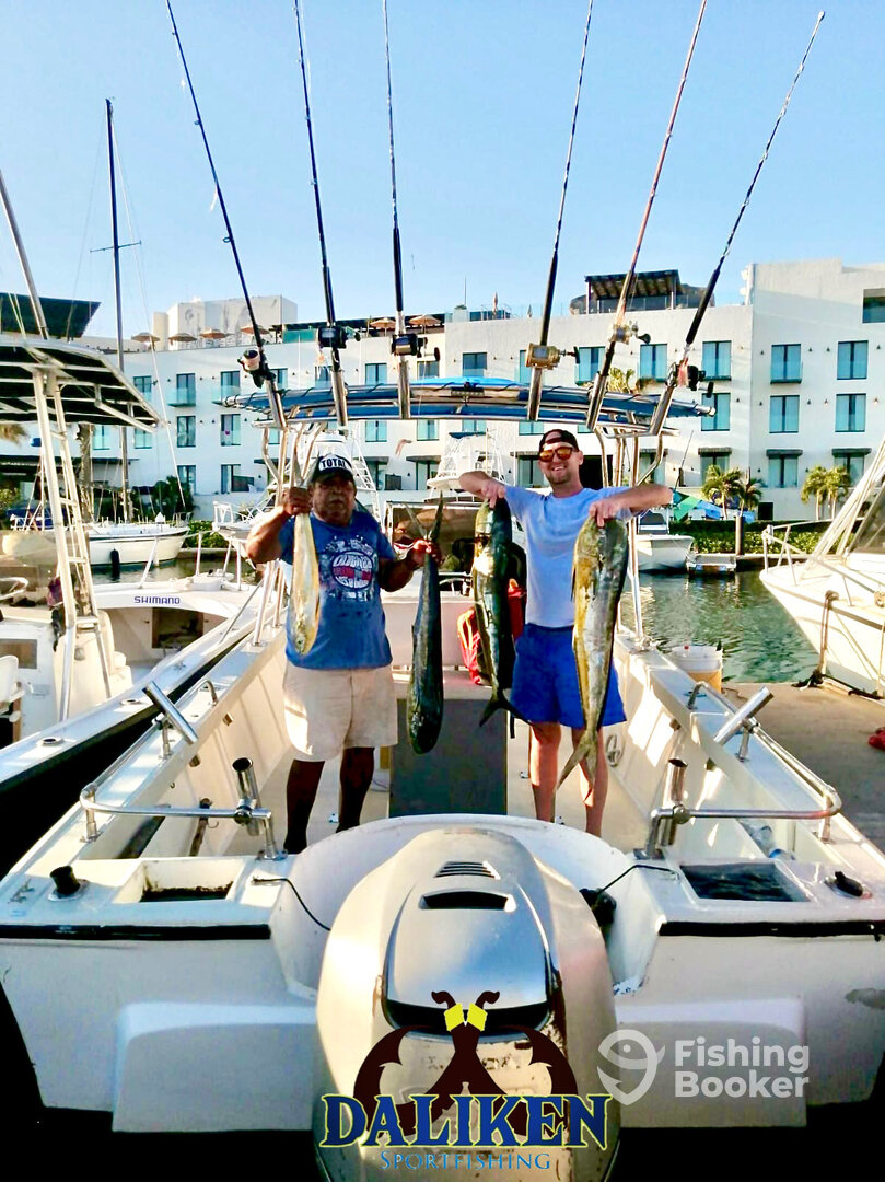 San Jose del Cabo Report Photo 0