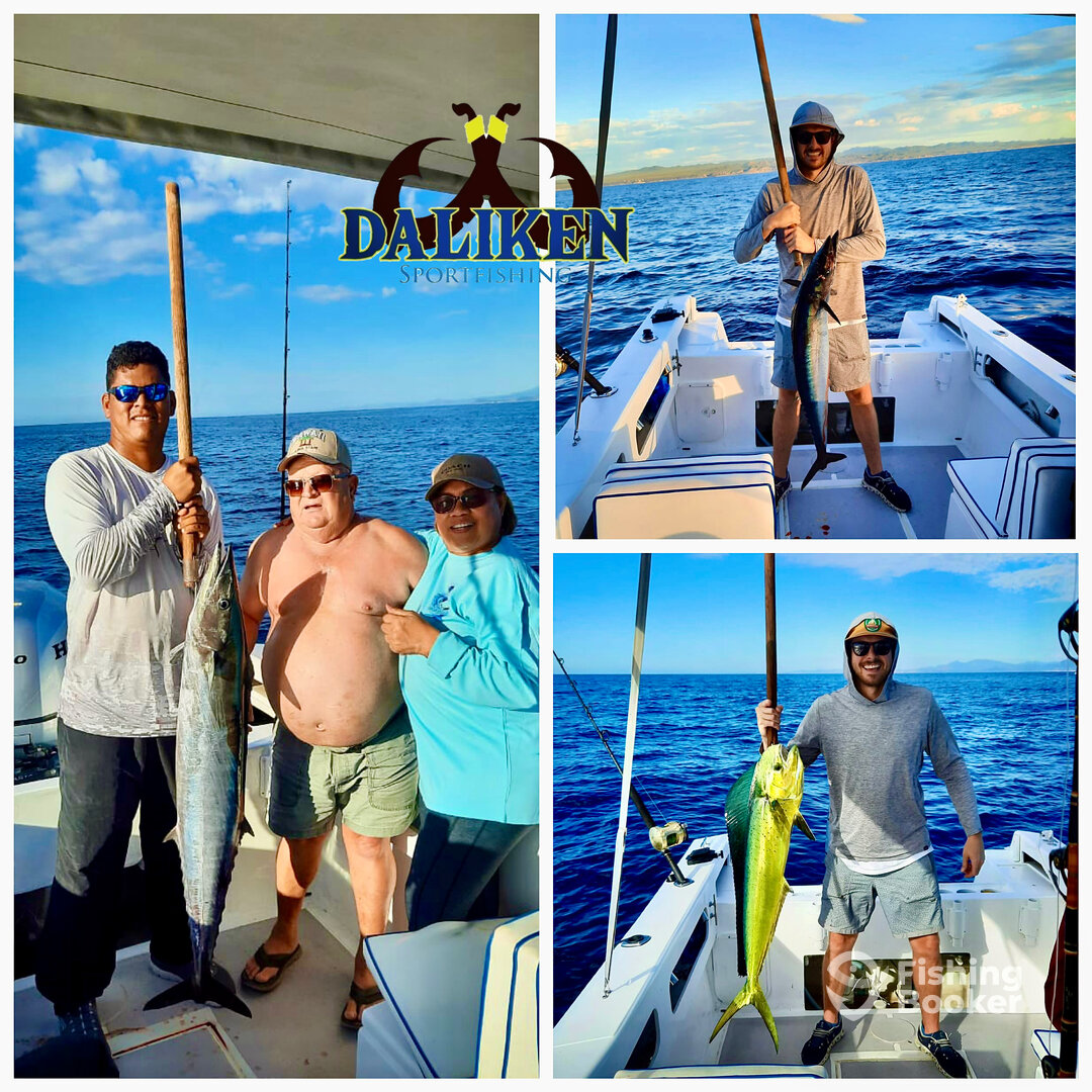 San Jose del Cabo Report Photo 0