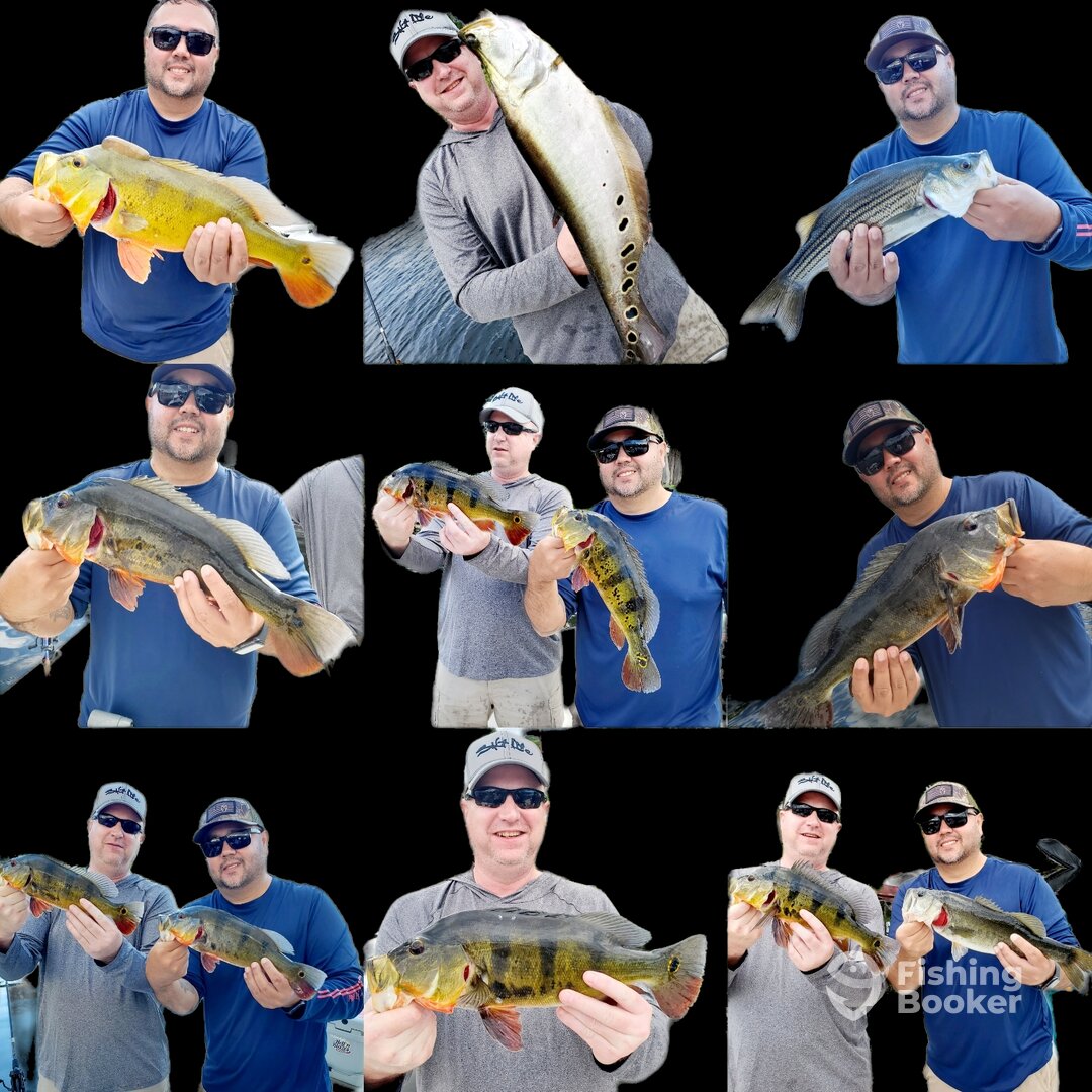 Delray Beach Report Photo 0