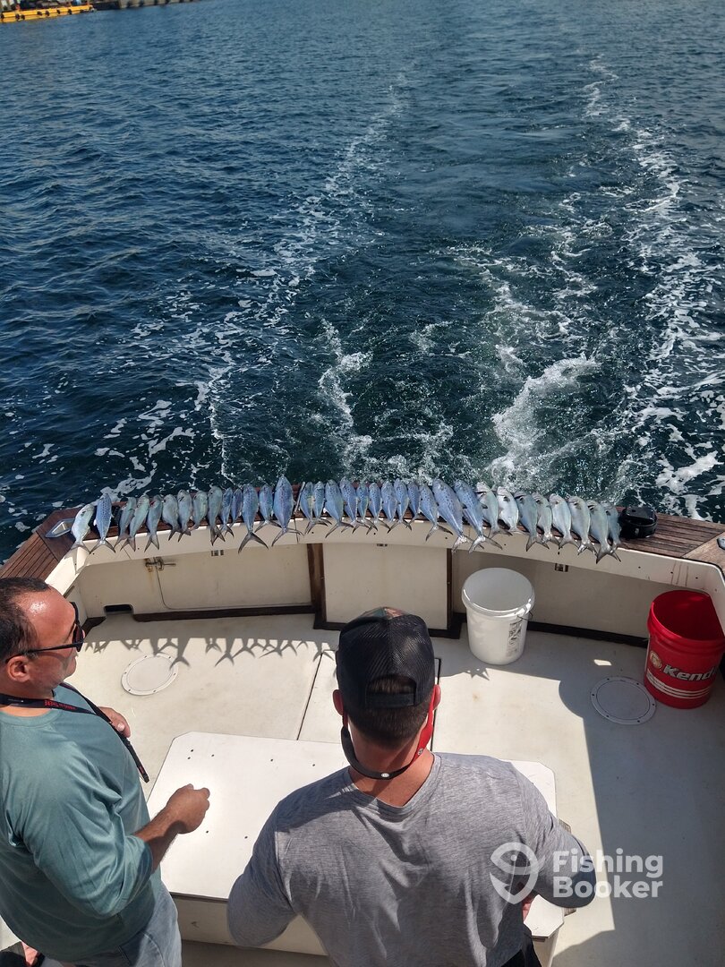 Port Canaveral Report Photo 0