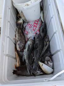 Great day on the water