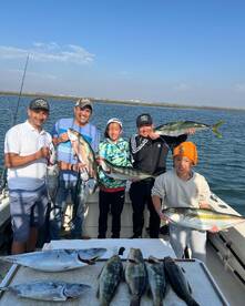 Calico bass Bonita yellowtail