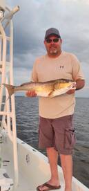 Inshore fishing in Tampa Bay is getting 
