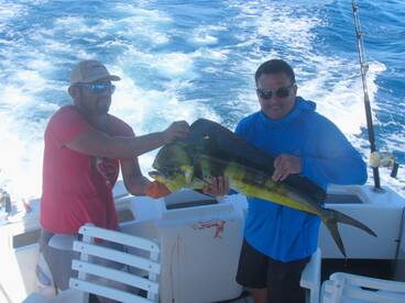 Cabo San Lucas Report Photo 1