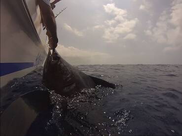 Fishing is crazy in Maputo, Mozambique 