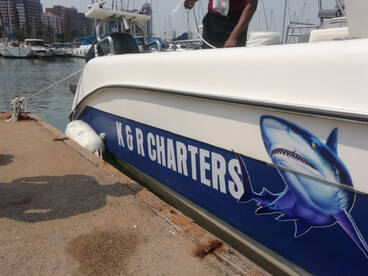 Durban Report Photo 1