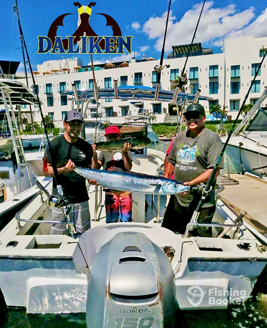 San Jose del Cabo Report Photo 0