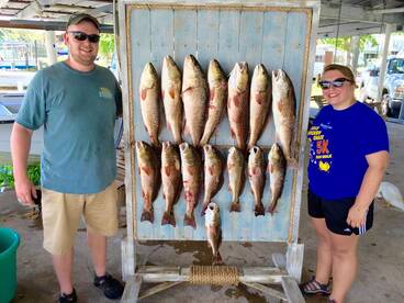 Barataria Report Photo 1