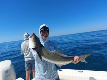 Nice cobia caught while fishing for hogf