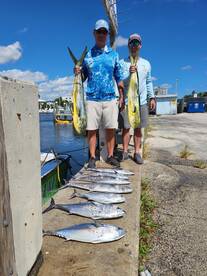 Dania Beach Report Photo 2
