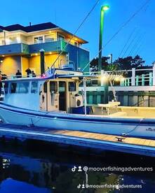 Sea Bass limit, Porgy, Bluefish 