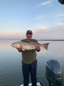 Mandeville Report Photo 1