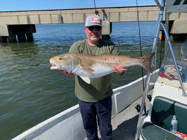Mandeville Report Photo 2