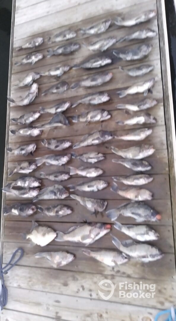 Norfolk Report Photo 0