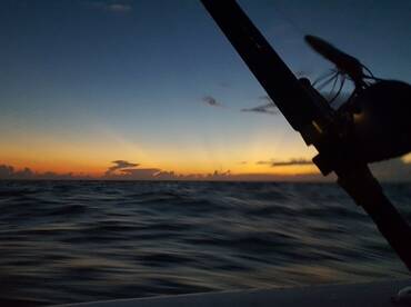 Freeport Report Photo 1