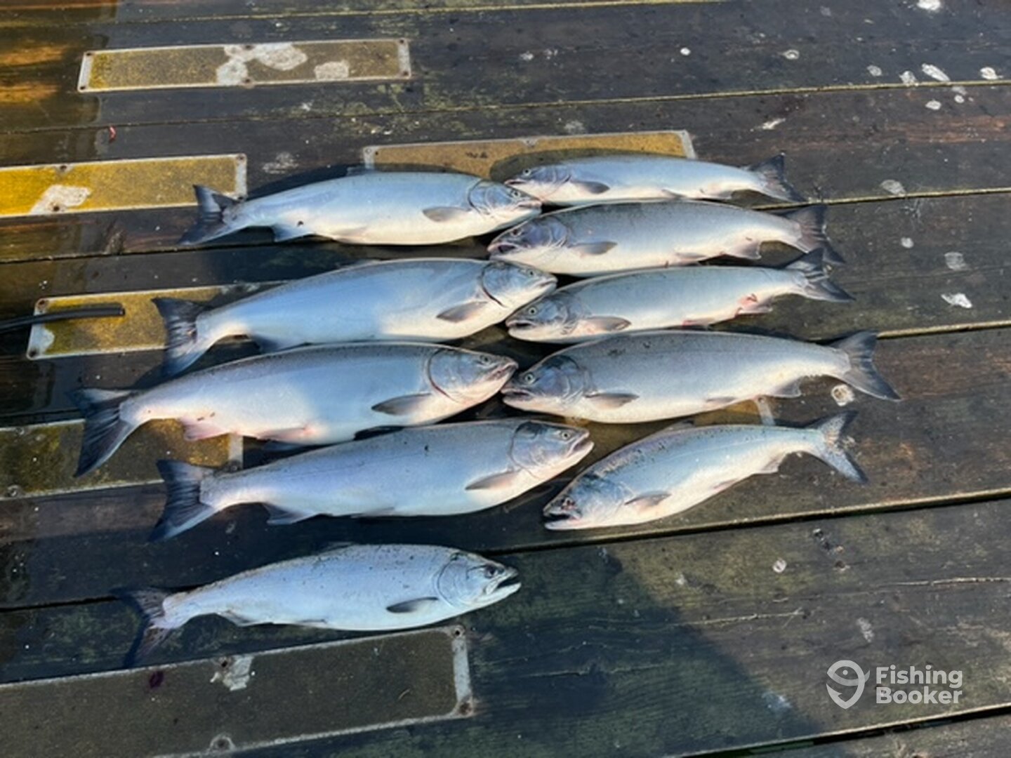 Sooke Report Photo 0