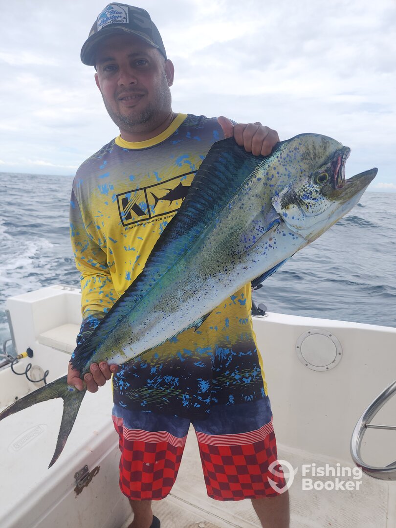 Panama City Report Photo 0