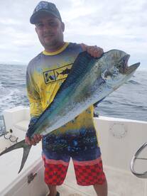 Mahi mahi