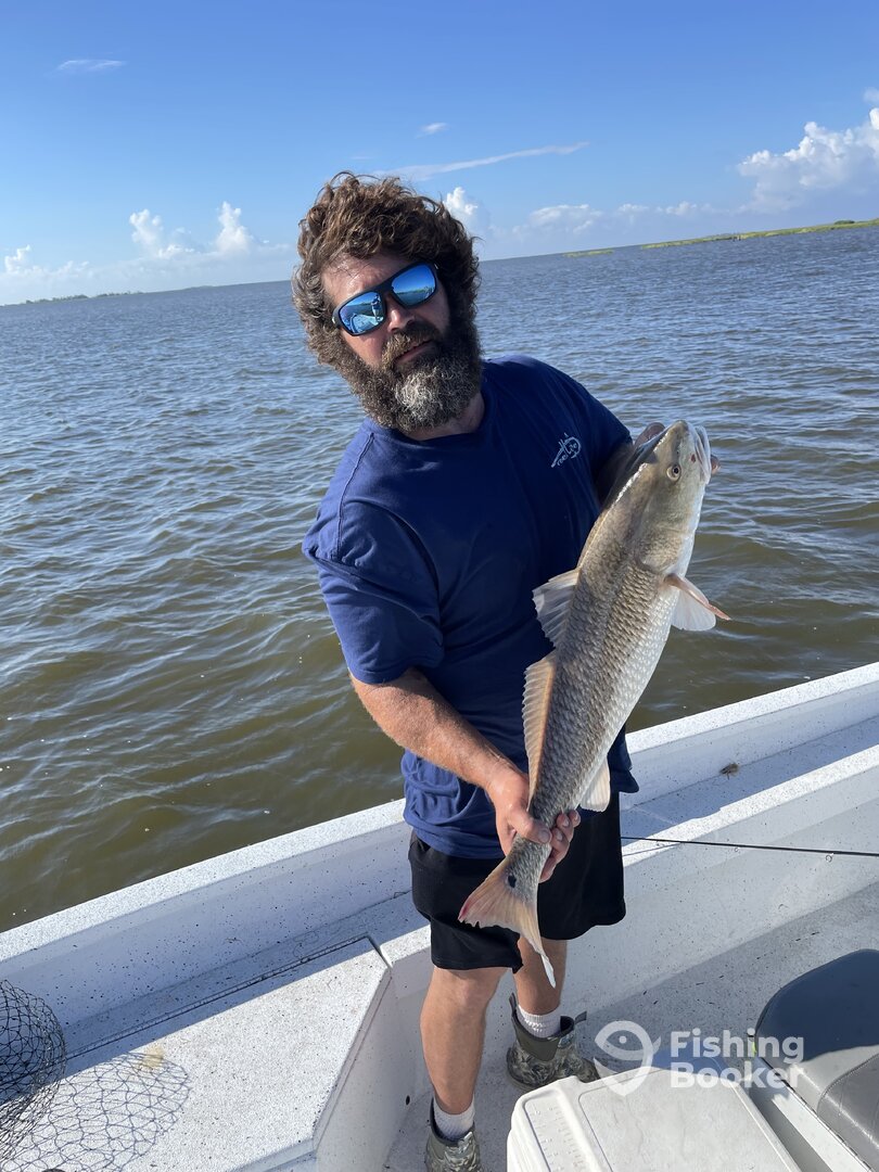 Lafitte Report Photo 0