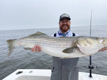 Highlands Report Photo 1