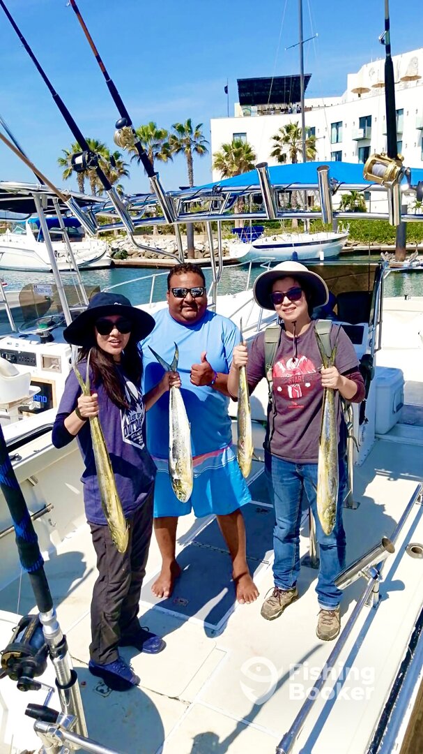 San Jose del Cabo Report Photo 0