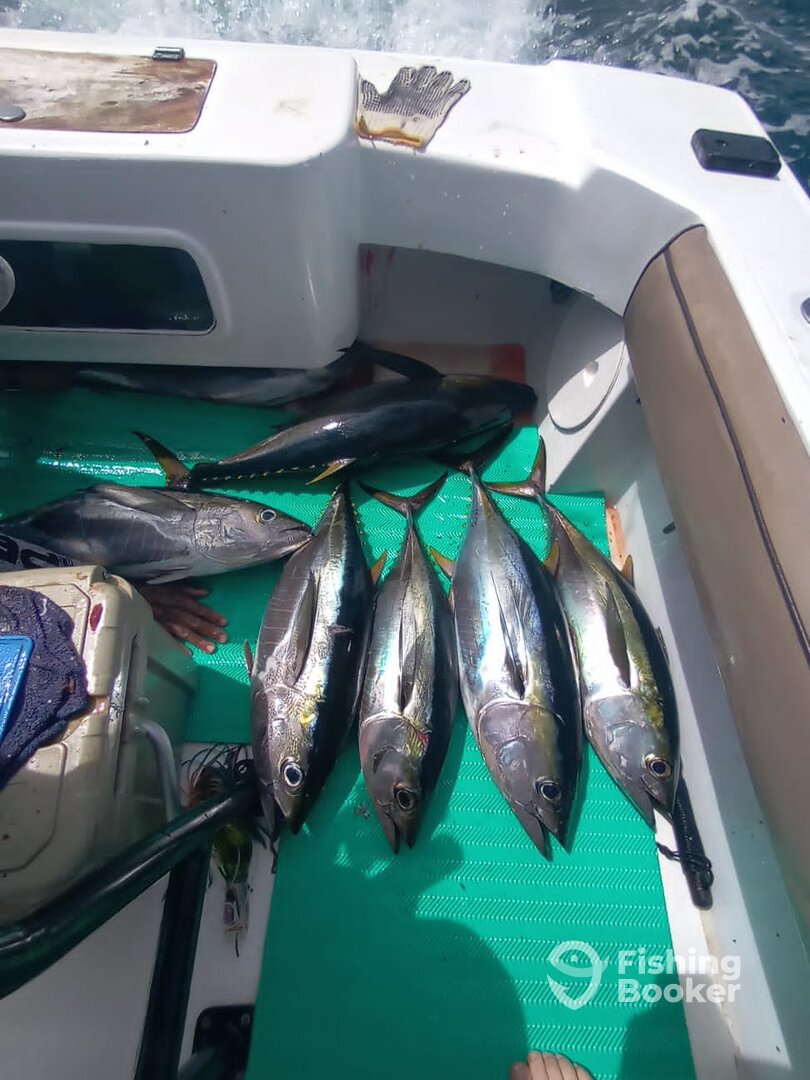 Herradura Report Photo 0