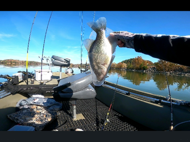 Fall Slab