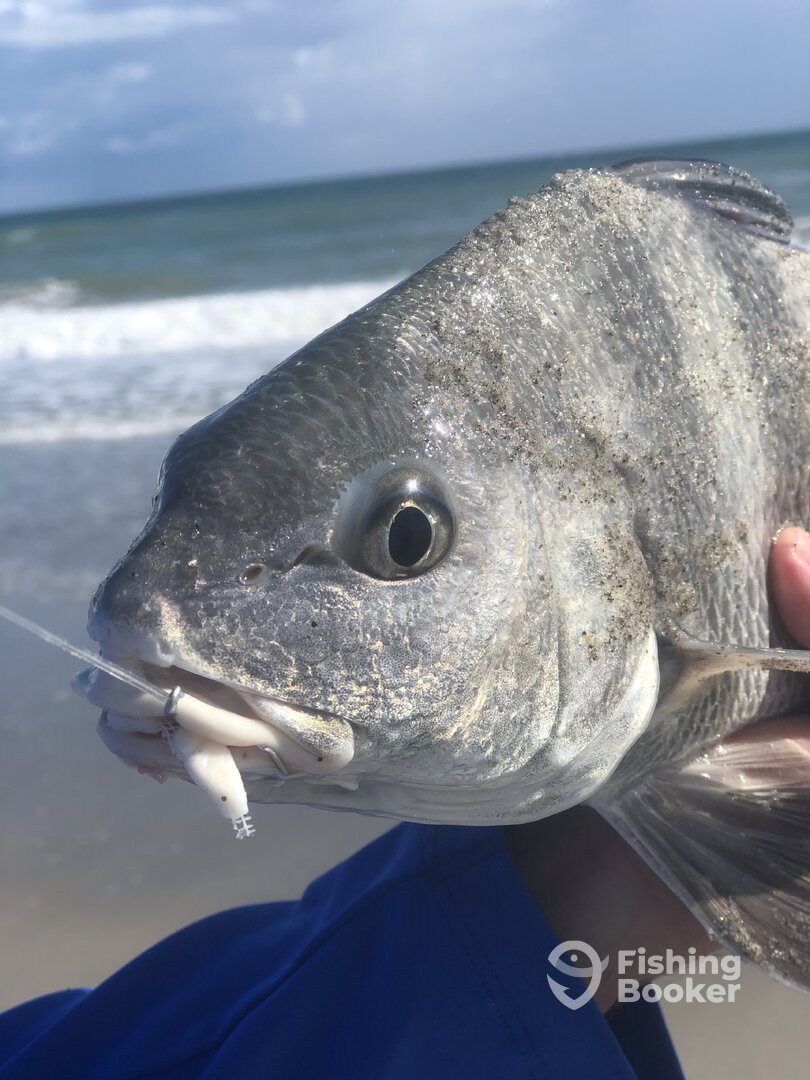 Cocoa Beach Report Photo 0