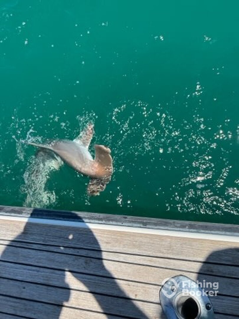 Port Canaveral Report Photo 0